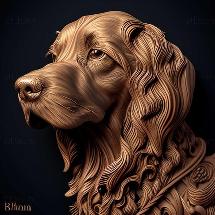 Animals Briar dog breed dog